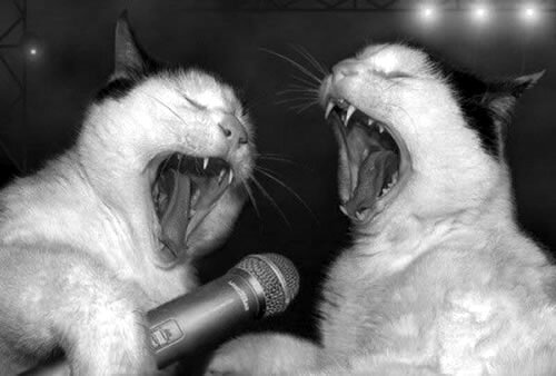karaoke-chats