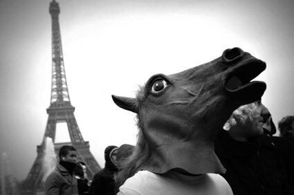 nova-book-box-harlem-shake paris